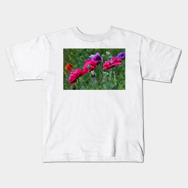 Colourful Poppies Kids T-Shirt by Violaman